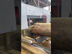 scierie électrique robuste