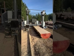 Scie à bande lourde