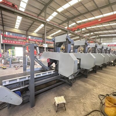 Multi-head Horizontal Resaws with 2 to 300mm Sawing Height and 700mm Saw Wheel Diameter