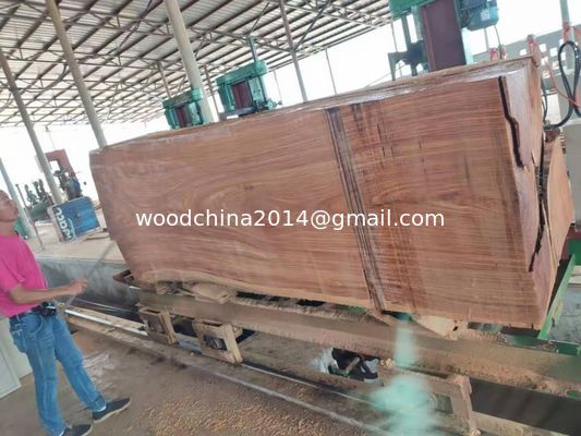 60'' Machine à cisailles CNC lourdes à bande verticale Sauvageur à bûcher