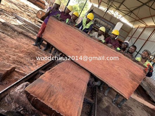 Chine usine de vente horizontale de bois portable bande a vu scierie machine à scier en bois