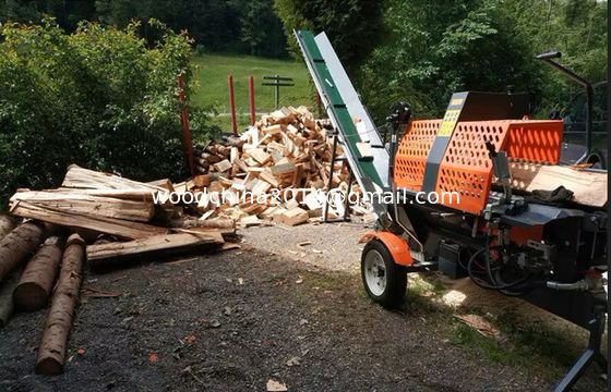 Moteur à essence moteur à essence séparateur de bois de chauffage transformateur de bois approuvé pour l'utilisation routière